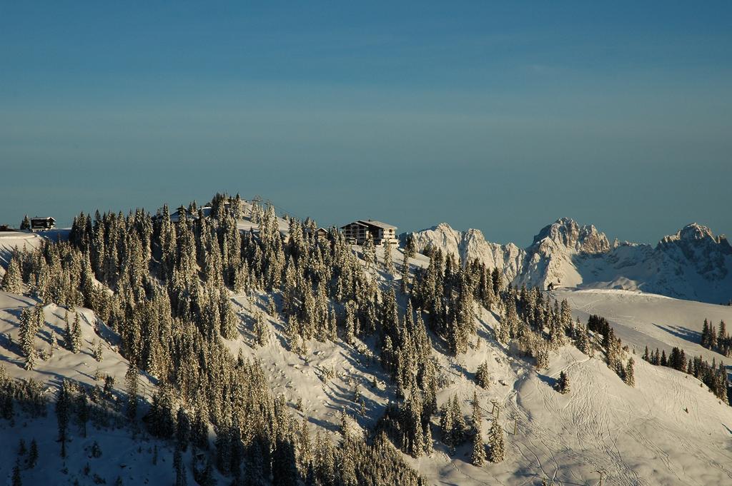 Ehrenbachhohe On Top Of The Mountain คิทซ์บือห์ ภายนอก รูปภาพ